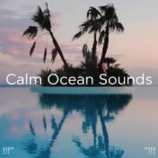 !!!" Calm Ocean Sounds "!!!
