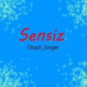 Sensiz