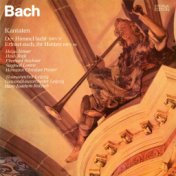 Bach: Der Himmel lacht, die Erde jubilieret / Erfreut euch, ihr Herzen