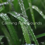 !!!" Calming Rain Sounds  "!!!