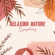 Relaxing Nature Symphony – 1 Hour of Mesmerizing Natural Melodies for Total Reset and Relax