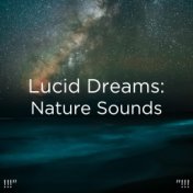 !!!" Lucid Dreams: Nature Sounds "!!!