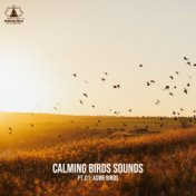 Calming Birds Sounds, Pt. 01 (ASMR Birds, Morning Chirping Birds, Nature ASMR, Birds and Crows in the Fields, Spa ASMR Singing B...