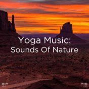 !!!" Yoga Music: Sounds Of Nature "!!!
