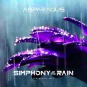 Simphony of the Rain