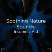 !!!" Soothing Nature Sounds: Insomnia Aid "!!!