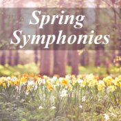 Spring Symphonies