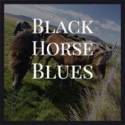 Black Horse Blues