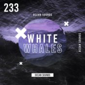 White Whales
