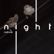 Night Nature - Fall Asleep with Therapeutic Sounds of Raindrops, Water and Birds, Insomnia Relief, Music for Restful Sleep