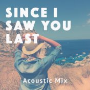 Since I Saw You Last (Acoustic Mix)