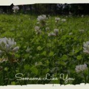 Someone Like You