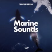 Marine Sounds