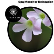 Spa Mood For Relaxation