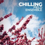 Chilling Field Ensemble