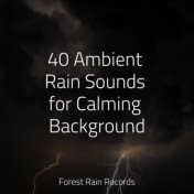 40 Ambient Rain Sounds for Calming Background