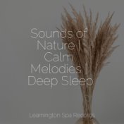 Sounds of Nature | Calm Melodies | Deep Sleep