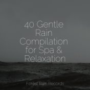 40 Gentle Rain Compilation for Spa & Relaxation