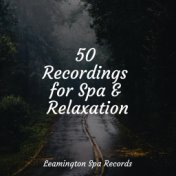 50 Recordings for Spa & Relaxation