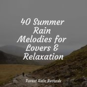 40 Summer Rain Melodies for Lovers & Relaxation