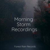 Morning Storm Recordings