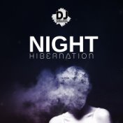 Night Hibernation: Ambient Music for Deep Sleep