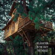 Relaxation in the Cozy Treehouse (1 Hour of Relaxing Nature Sounds)