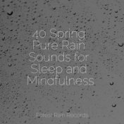 40 Spring Pure Rain Sounds for Sleep and Mindfulness