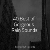 40 Best of Gorgeous Rain Sounds