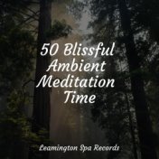 50 Blissful Ambient Meditation Time