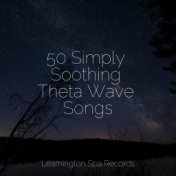 50 Simply Soothing Theta Wave Songs