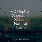 40 Restful Sounds of Sleep - Natural Rainfall