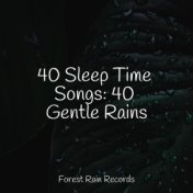 40 Sleep Time Songs: 40 Gentle Rains