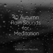40 Autumn Rain Sounds for Meditation