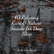 40 Relaxing Rain & Nature Sounds for Deep Sleep