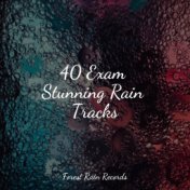 40 Exam Stunning Rain Tracks