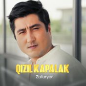 Qizil kapalak