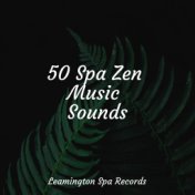 50 Spa Zen Music Sounds