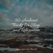 50 Ambient Tracks for Sleep and Relaxation