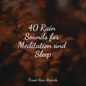 40 Rain Sounds for Meditation and Sleep