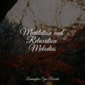 Meditation and Relaxation Melodies