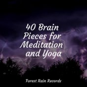 40 Brain Pieces for Meditation and Yoga