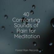 40 Comforting Sounds of Rain for Meditation