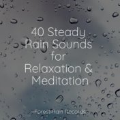 40 Steady Rain Sounds for Relaxation & Meditation