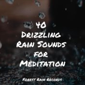 40 Drizzling Rain Sounds for Meditation