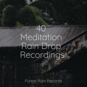 40 Meditation Rain Drop Recordings