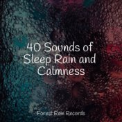 40 Sounds of Sleep Rain and Calmness
