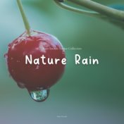 Nature Rain