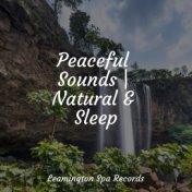 Peaceful Sounds | Natural & Sleep