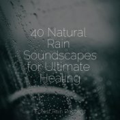 40 Natural Rain Soundscapes for Ultimate Healing